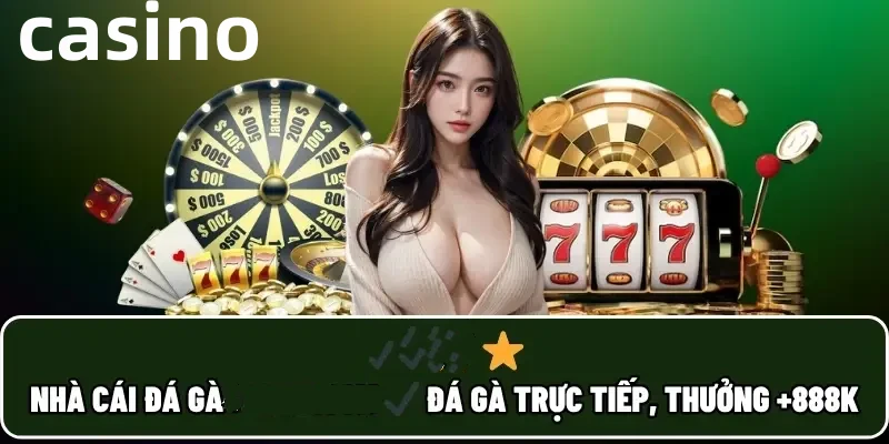 88net