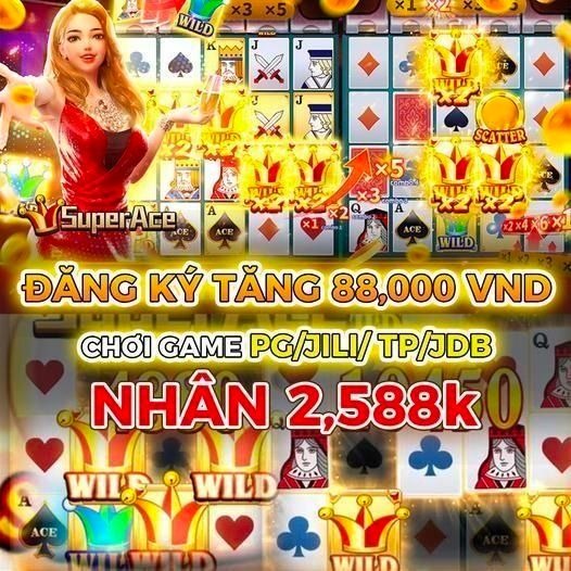 88net